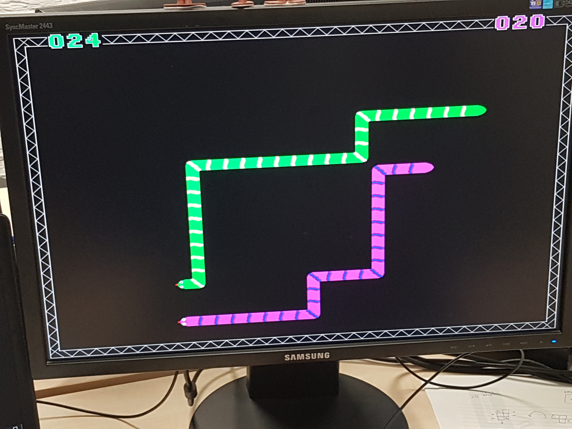 Picture of Snake displayed on a PC monitor